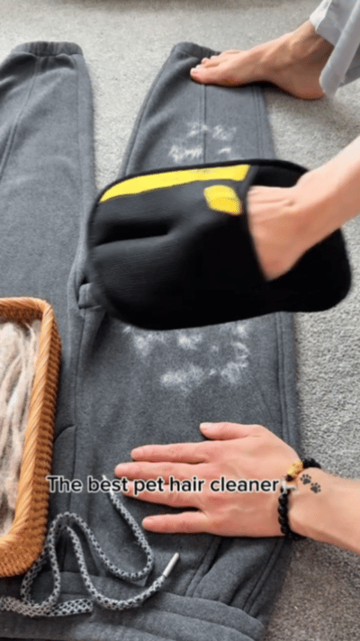 Pet Hair Removal Gloves