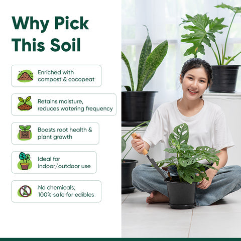 Organic Pot Mix 500gm