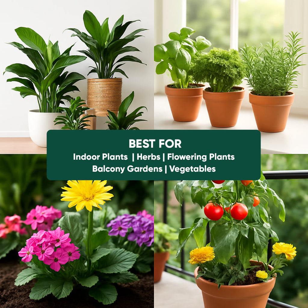 Organic Pot Mix 500gm