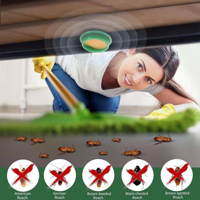 Cockroach Killer Powder Gel (Pack of 24pc)